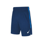 Nike Dry Strike Shorts